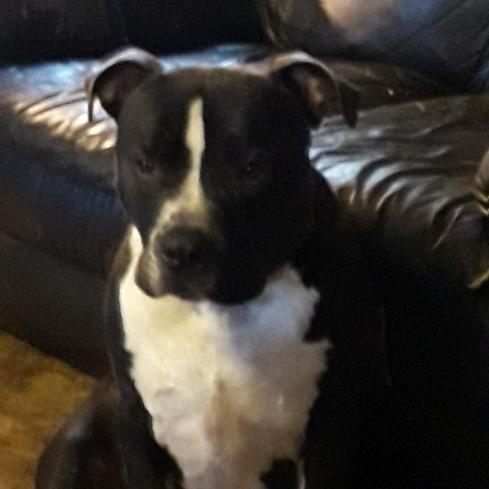 Meet your Posher, Debra